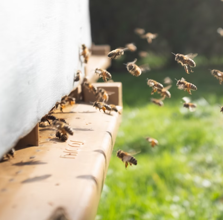 Generic placeholder image